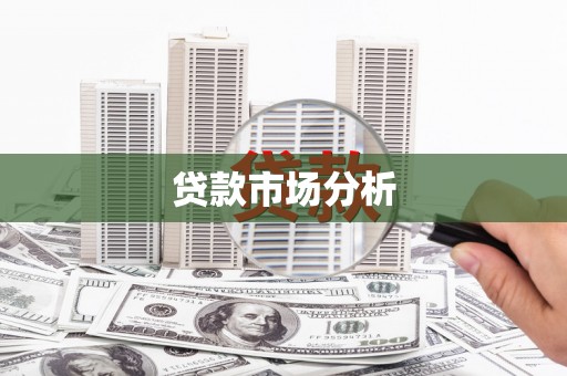 汝阳贷款市场分析
