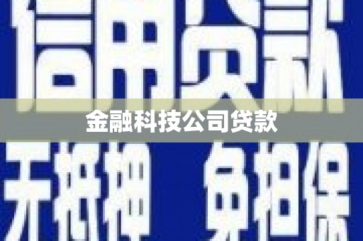 汝阳金融科技公司贷款
