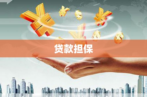 汝阳贷款担保