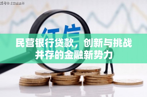 汝阳民营银行贷款，创新与挑战并存的金融新势力