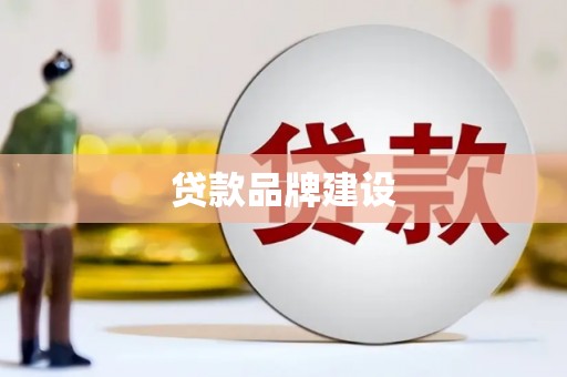 汝阳贷款品牌建设