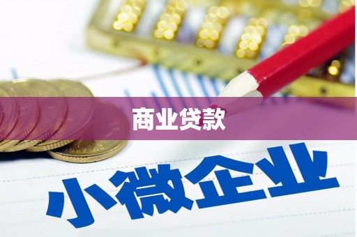 汝阳商业贷款