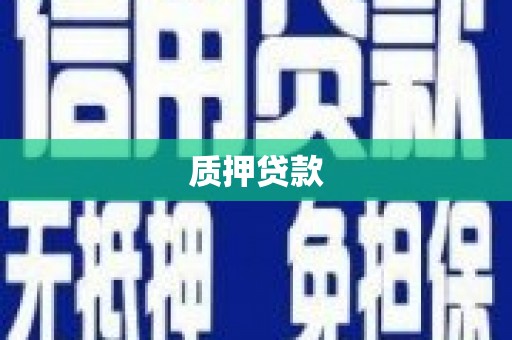 汝阳质押贷款