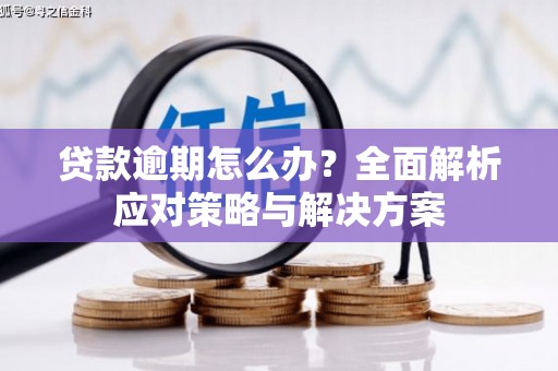 汝阳贷款逾期怎么办？全面解析应对策略与解决方案