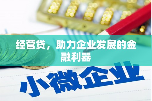 汝阳经营贷，助力企业发展的金融利器