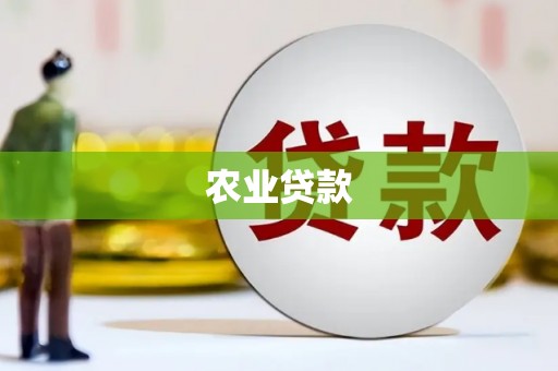 汝阳农业贷款