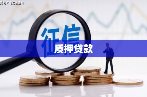汝阳质押贷款