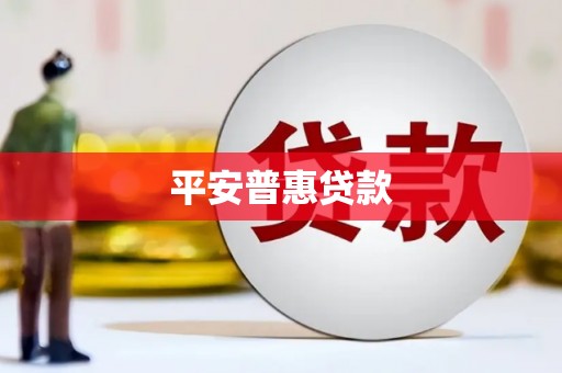 汝阳平安普惠贷款