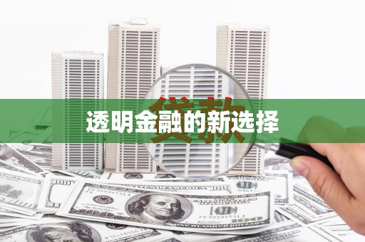 汝阳透明金融的新选择
