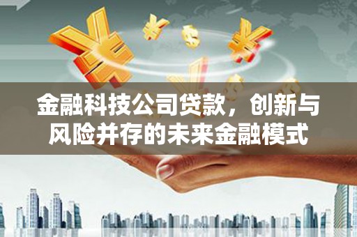 汝阳金融科技公司贷款，创新与风险并存的未来金融模式