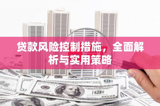 汝阳贷款风险控制措施，全面解析与实用策略