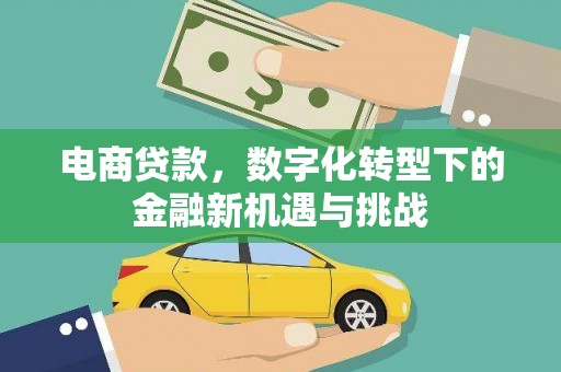 汝阳电商贷款，数字化转型下的金融新机遇与挑战