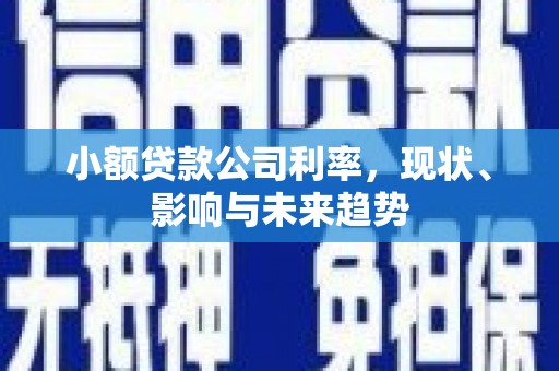汝阳小额贷款公司利率，现状、影响与未来趋势