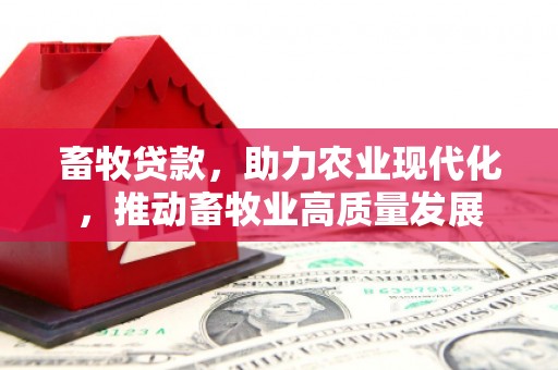 汝阳畜牧贷款，助力农业现代化，推动畜牧业高质量发展