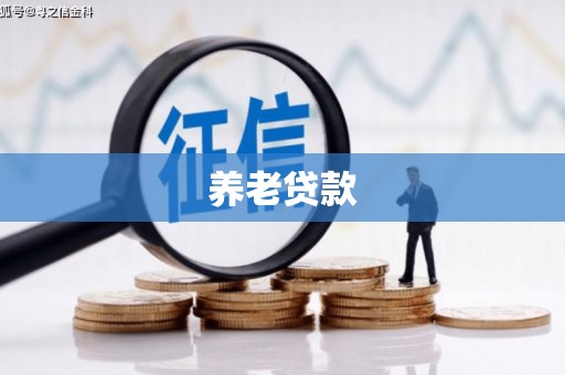 汝阳养老贷款