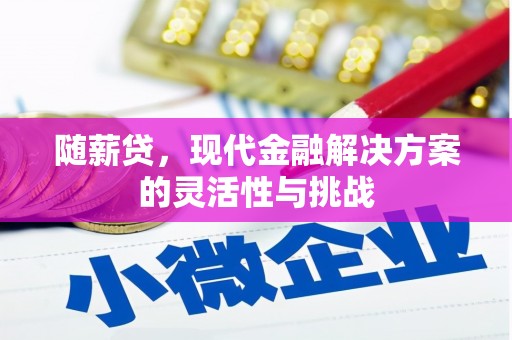 汝阳随薪贷，现代金融解决方案的灵活性与挑战