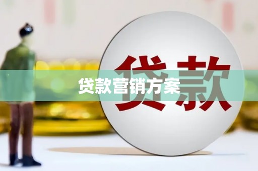 汝阳贷款营销方案