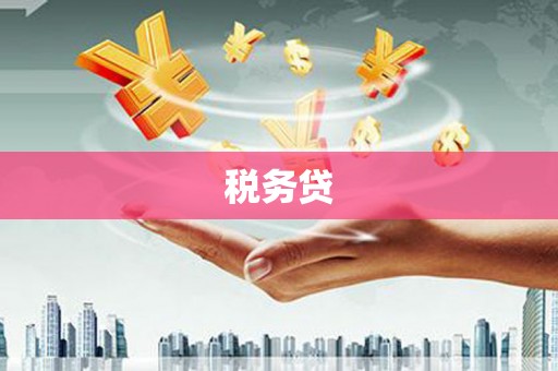 汝阳税务贷