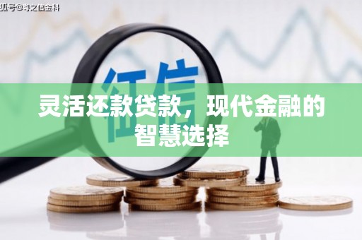 汝阳灵活还款贷款，现代金融的智慧选择