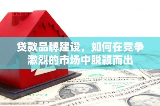 汝阳贷款品牌建设，如何在竞争激烈的市场中脱颖而出