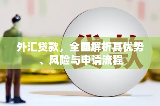 汝阳外汇贷款，全面解析其优势、风险与申请流程
