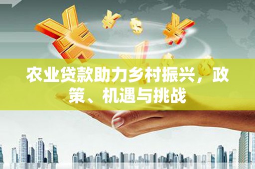 汝阳农业贷款助力乡村振兴，政策、机遇与挑战