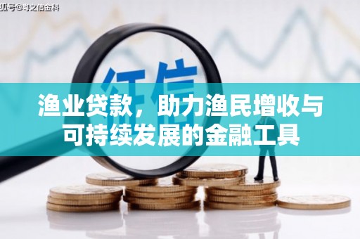 汝阳渔业贷款，助力渔民增收与可持续发展的金融工具
