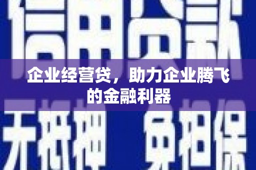 汝阳企业经营贷，助力企业腾飞的金融利器