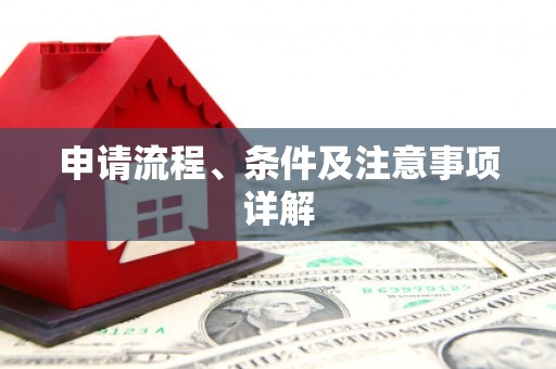 汝阳申请流程、条件及注意事项详解