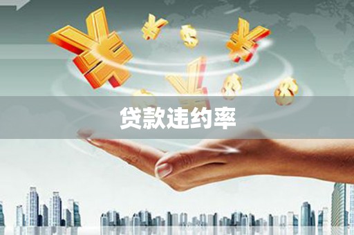 汝阳贷款违约率