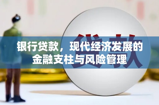 汝阳银行贷款，现代经济发展的金融支柱与风险管理