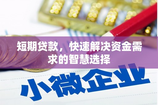 汝阳短期贷款，快速解决资金需求的智慧选择