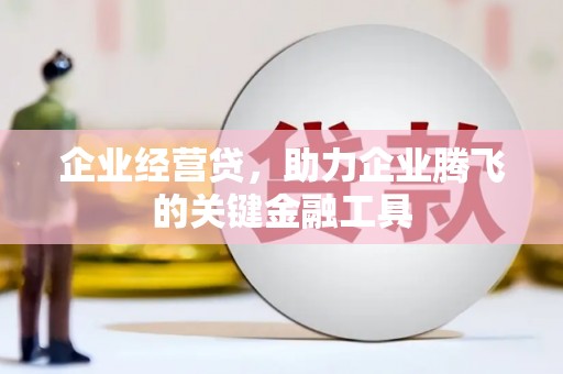 汝阳企业经营贷，助力企业腾飞的关键金融工具