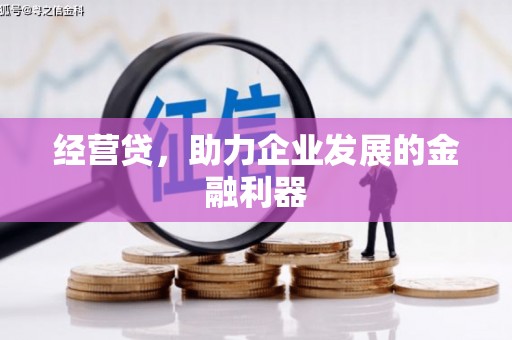 汝阳经营贷，助力企业发展的金融利器