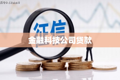 汝阳金融科技公司贷款