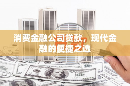 汝阳消费金融公司贷款，现代金融的便捷之选