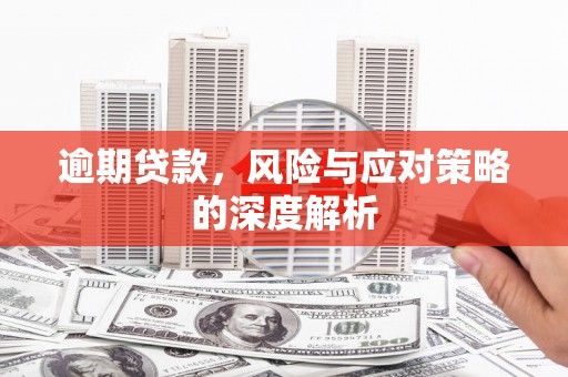 汝阳逾期贷款，风险与应对策略的深度解析