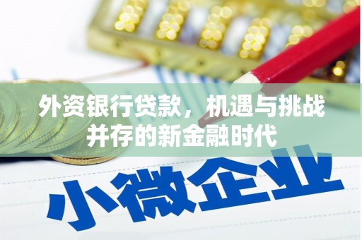 汝阳外资银行贷款，机遇与挑战并存的新金融时代