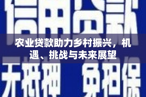 汝阳农业贷款助力乡村振兴，机遇、挑战与未来展望