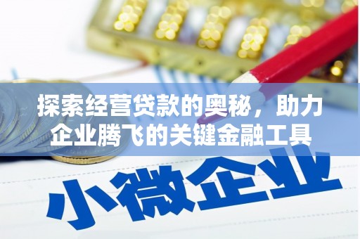 汝阳探索经营贷款的奥秘，助力企业腾飞的关键金融工具