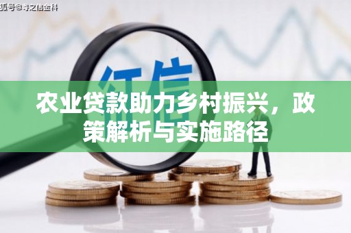 汝阳农业贷款助力乡村振兴，政策解析与实施路径