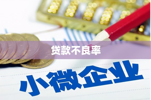 汝阳贷款不良率