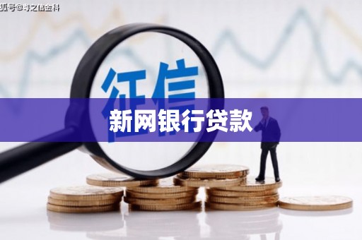 汝阳新网银行贷款
