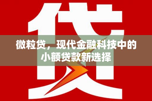 汝阳微粒贷，现代金融科技中的小额贷款新选择