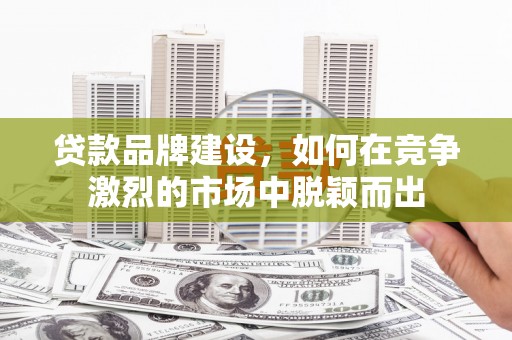 汝阳贷款品牌建设，如何在竞争激烈的市场中脱颖而出