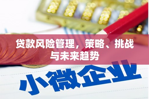 汝阳贷款风险管理，策略、挑战与未来趋势