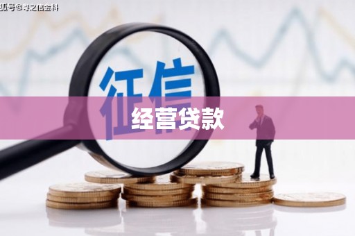 汝阳经营贷款