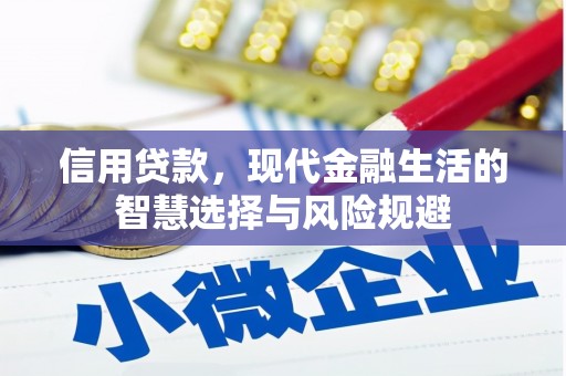汝阳信用贷款，现代金融生活的智慧选择与风险规避