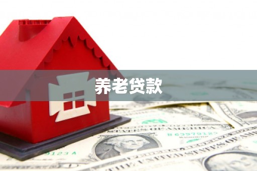 汝阳养老贷款