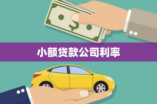 汝阳小额贷款公司利率